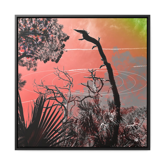 Tropical Orbit